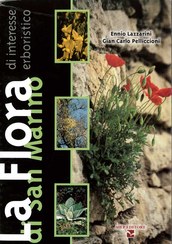 Copertina