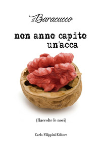 Non anno capito un